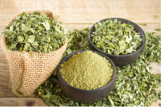 HNCO Organics organic herbs